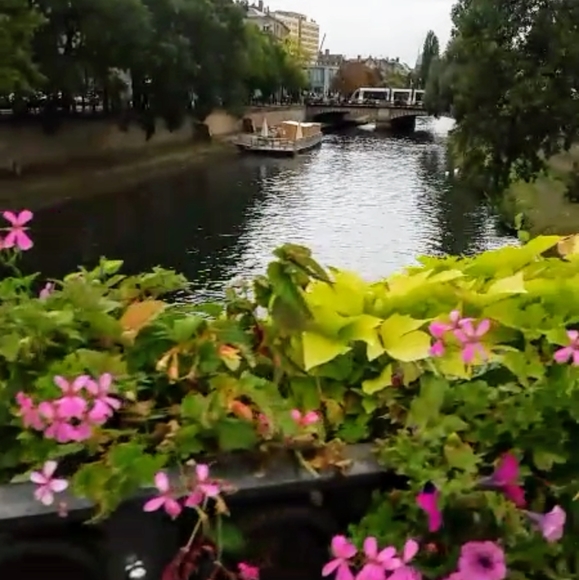 Meet your Posher, Canada - Picture 2 of 2